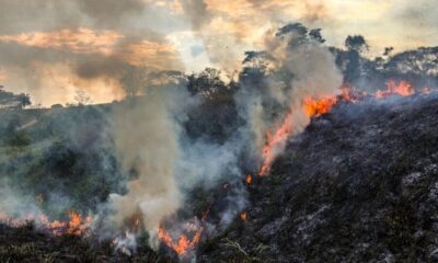 whatsapp image 2024 08 19 at 13.13.39 900×599 whatsapp image 2024 08 19 at 13.13.39 900x599