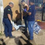 whatsapp image 2024 08 19 at 16.08.10