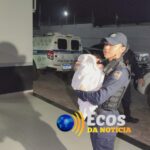 whatsapp image 2024 08 20 at 00.36.43