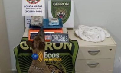 whatsapp image 2024 08 21 at 08.27.20 whatsapp image 2024 08 21 at 08.27.20