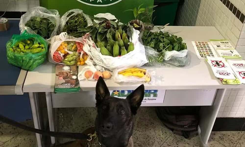 whatsapp image 2024 08 26 at 17.04.28