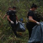 whatsapp image 2024 08 26 at 19.55.33