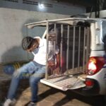 whatsapp image 2024 08 26 at 23.28.55