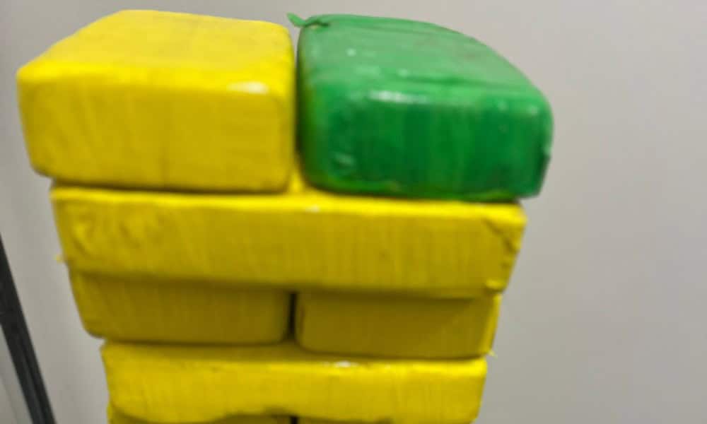 whatsapp image 2024 08 28 at 11.47.37 whatsapp image 2024 08 28 at 11.47.37