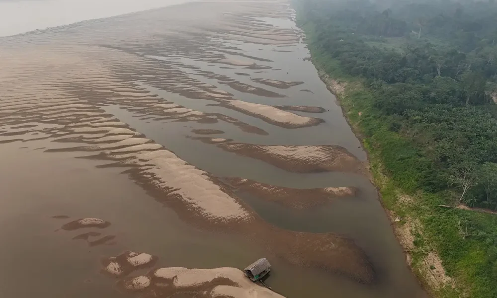 2024 09 11t141902z 1 lynxmpek8a0lw rtroptp 4 brazil environment amazon 2024 09 11t141902z 1 lynxmpek8a0lw rtroptp 4 brazil environment amazon