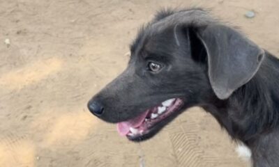 Imagem: Redes Sociais