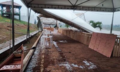 23 anos 9 1 23 anos 9 1