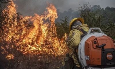 53987620522_9f7f0d168c_c