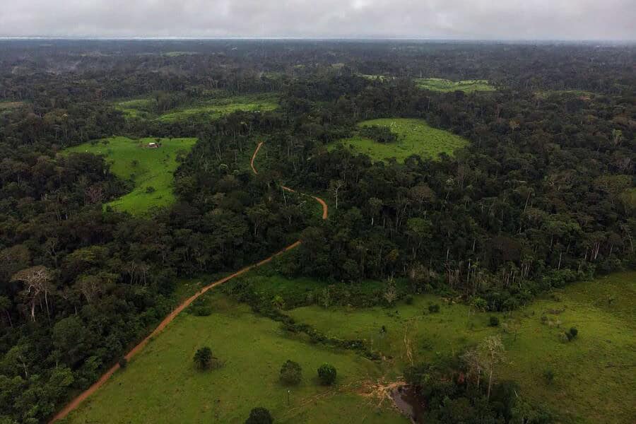 DJI_0983-Vista-area-da-Resex-Chico-proximo-a-Assis-Brasil-onde-o-desmatamento-e-visivel.Maio_2023.-Fotografia_-Bruna-Obadowskijpg-900x674