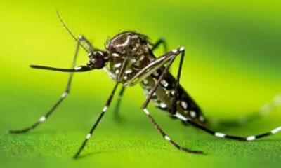 Frame-240-2024-04-11T092242.199-900x641