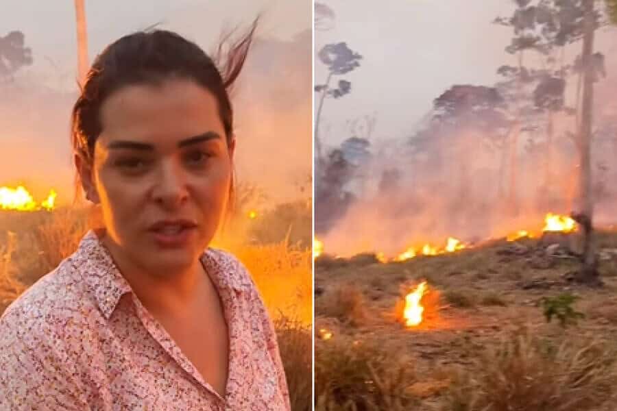 Frame-464-40-900×641 Frame-464-40-900x641