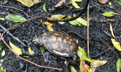 Frame-464-45-900×641 Frame-464-45-900x641