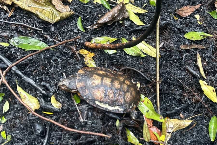 Frame-464-45-900×641 Frame-464-45-900x641