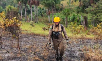 Frame-470-15-900x641