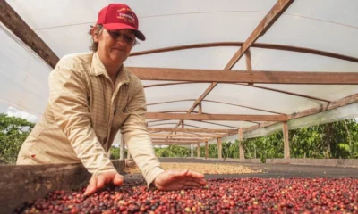 IMG-20240925-WA1157-900x599