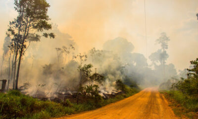 Ramom Aquim/Infoamazônia