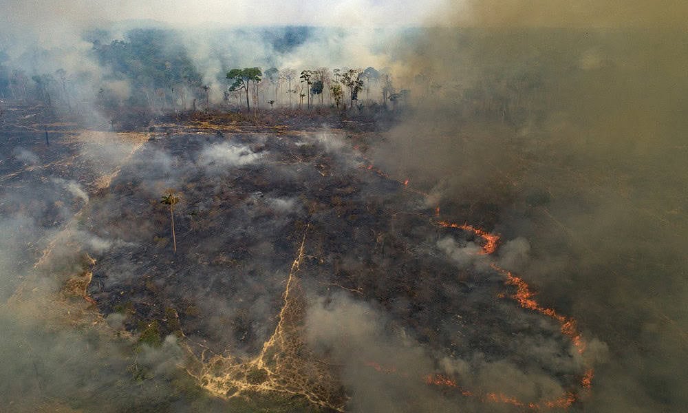 QUEIMADA-GRANDE QUEIMADA-GRANDE