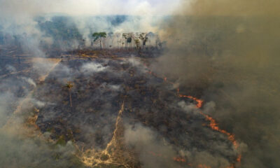 QUEIMADA-GRANDE QUEIMADA-GRANDE