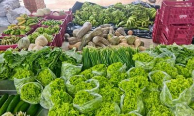 Quatro-toneladas-de-alimentos-foram-entregues-na-capital.-Foto-Cedida-900×675 Quatro-toneladas-de-alimentos-foram-entregues-na-capital.-Foto-Cedida-900x675