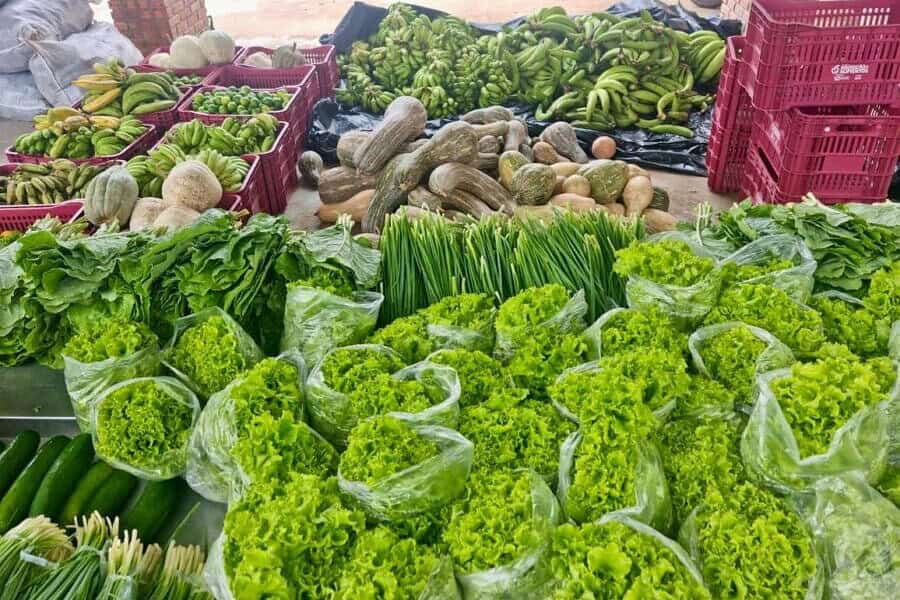 Quatro-toneladas-de-alimentos-foram-entregues-na-capital.-Foto-Cedida-900×675 Quatro-toneladas-de-alimentos-foram-entregues-na-capital.-Foto-Cedida-900x675