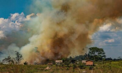 Queimadas-Acre-2020-Foto-Sergio-Vale-2 Foto: Sérgio Vale