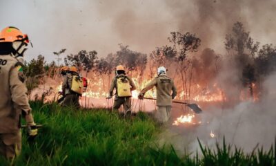 WhatsApp-Image-2024-07-17-at-16.51.49-900x600