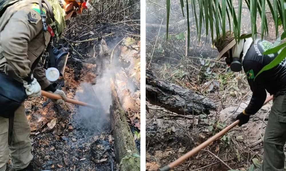 WhatsApp Image 2024-09-15 at 15.16.53 Incêndio destruiu 10 hectares de floresta na Comunidade Novo Recreio, da terra indígena Nawa — Foto: Reprodução/CBMAC