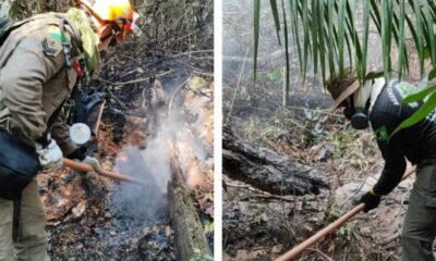 Incêndio destruiu 10 hectares de floresta na Comunidade Novo Recreio, da terra indígena Nawa — Foto: Reprodução/CBMAC