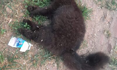 WhatsApp-Image-2024-09-18-at-14.42.32 (1)