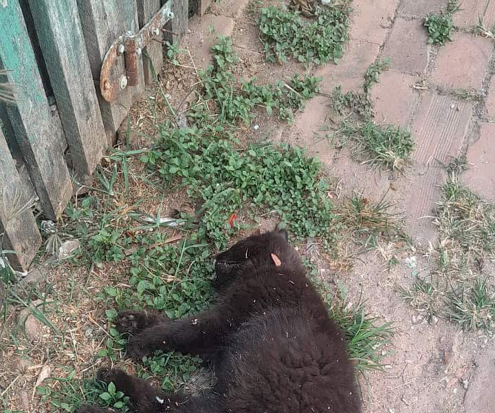 WhatsApp-Image-2024-09-18-at-14.42.32 (1) WhatsApp-Image-2024-09-18-at-14.42.32 (1)