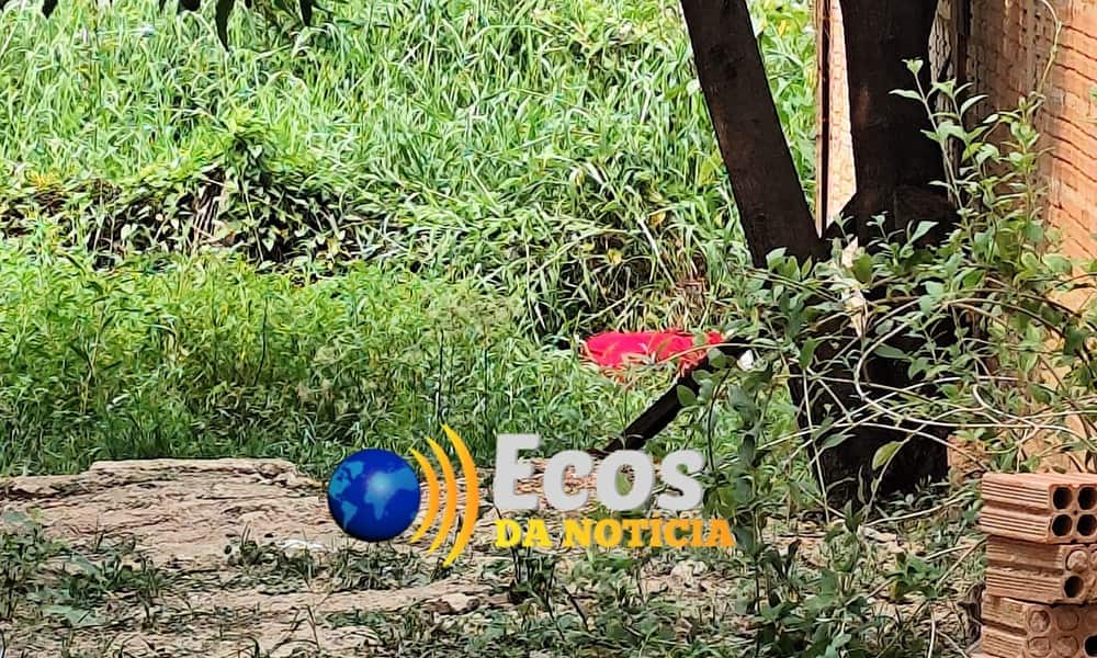 WhatsApp Image 2024-09-18 at 17.20.35 WhatsApp Image 2024-09-18 at 17.20.35