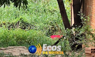 WhatsApp Image 2024-09-18 at 17.20.35 WhatsApp Image 2024-09-18 at 17.20.35