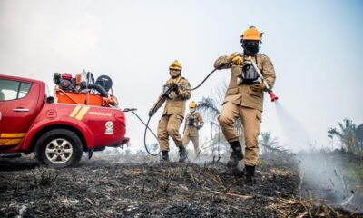 WhatsApp-Image-2024-09-23-at-19.19.39-1024×683 Operação Fogo Controlado visa combater incêndios que atingem estado durante período de estiagem. Foto: Neto Lucena/ Secom