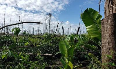 Foto: Polícia Federal