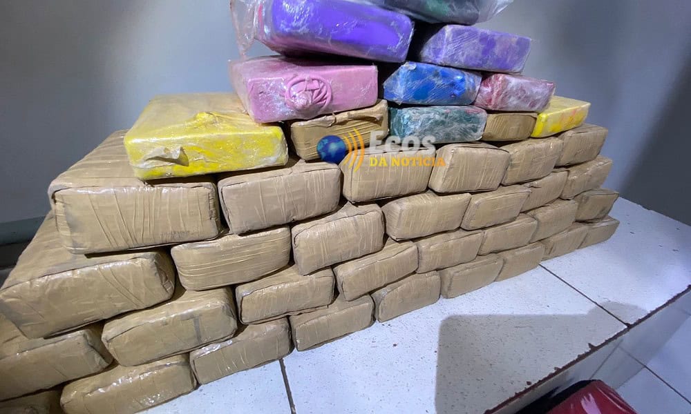 WhatsApp Image 2024-09-25 at 15.52.56 WhatsApp Image 2024-09-25 at 15.52.56