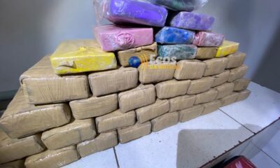 WhatsApp Image 2024-09-25 at 15.52.56 WhatsApp Image 2024-09-25 at 15.52.56