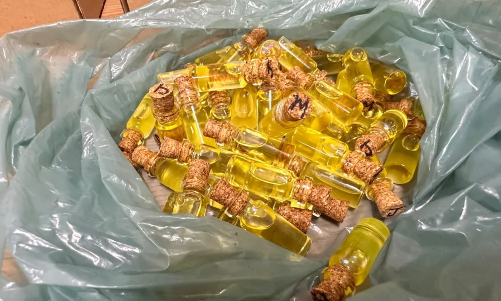 ubrificante vaginal apelidado de "Xapa Xana". • Polícia Civil do DF