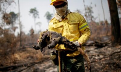 Foto: Ueslei Marcelino/Reuters