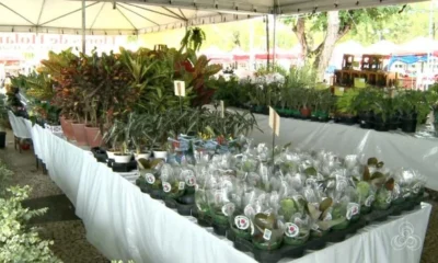 bdsa-feira-holambra-home-900×507 bdsa-feira-holambra-home-900x507