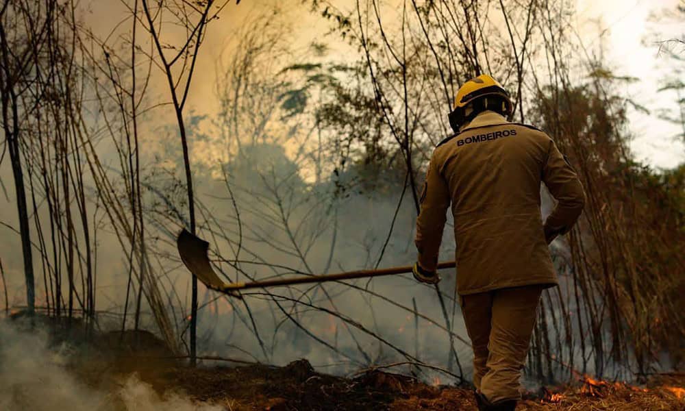 fogo queimadas sergio vale 2