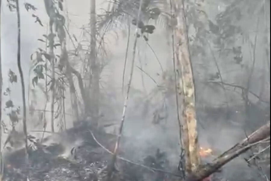 frame 431 2024 09 01t091627.195 900×641 frame 431 2024 09 01t091627.195 900x641