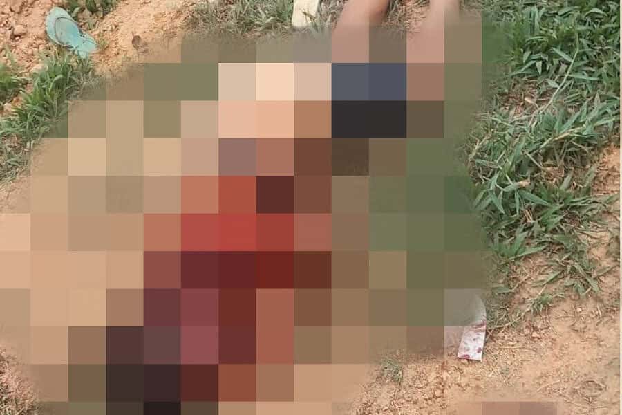 frame 431 3 900×641 frame 431 3 900x641