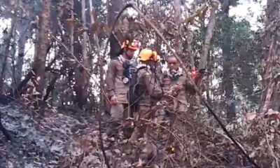 frame 431 900×641 frame 431 900x641