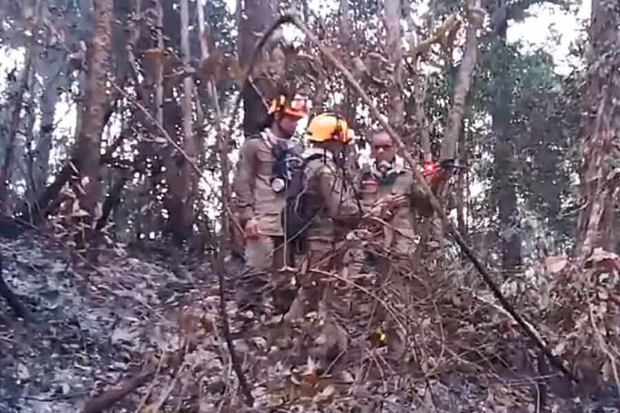 frame 431 900×641 frame 431 900x641