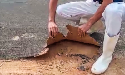 image0-1-1-900×506 image0-1-1-900x506