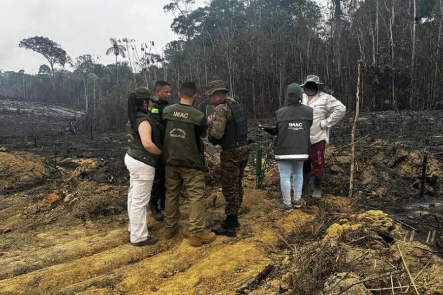 image_6487327-16-1-900×670 image_6487327-16-1-900x670