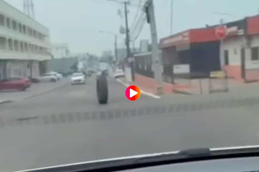 pneu video 900×641 pneu video 900x641