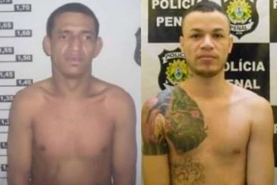 presos juru a 900×641 presos juru a 900x641