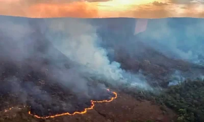 queimada incendio queimada incendio
