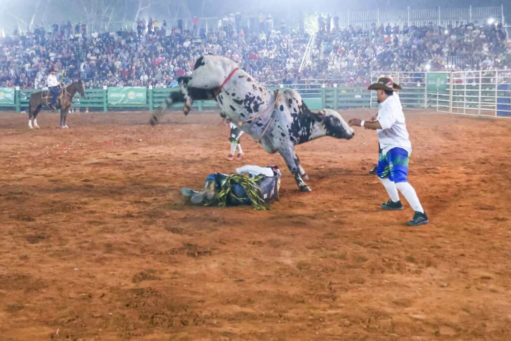 whatsapp image 2024 08 31 at 21.58.56 1 scaled